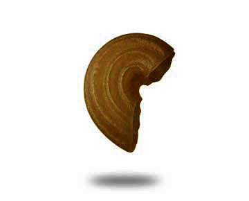 elbow supergrano
