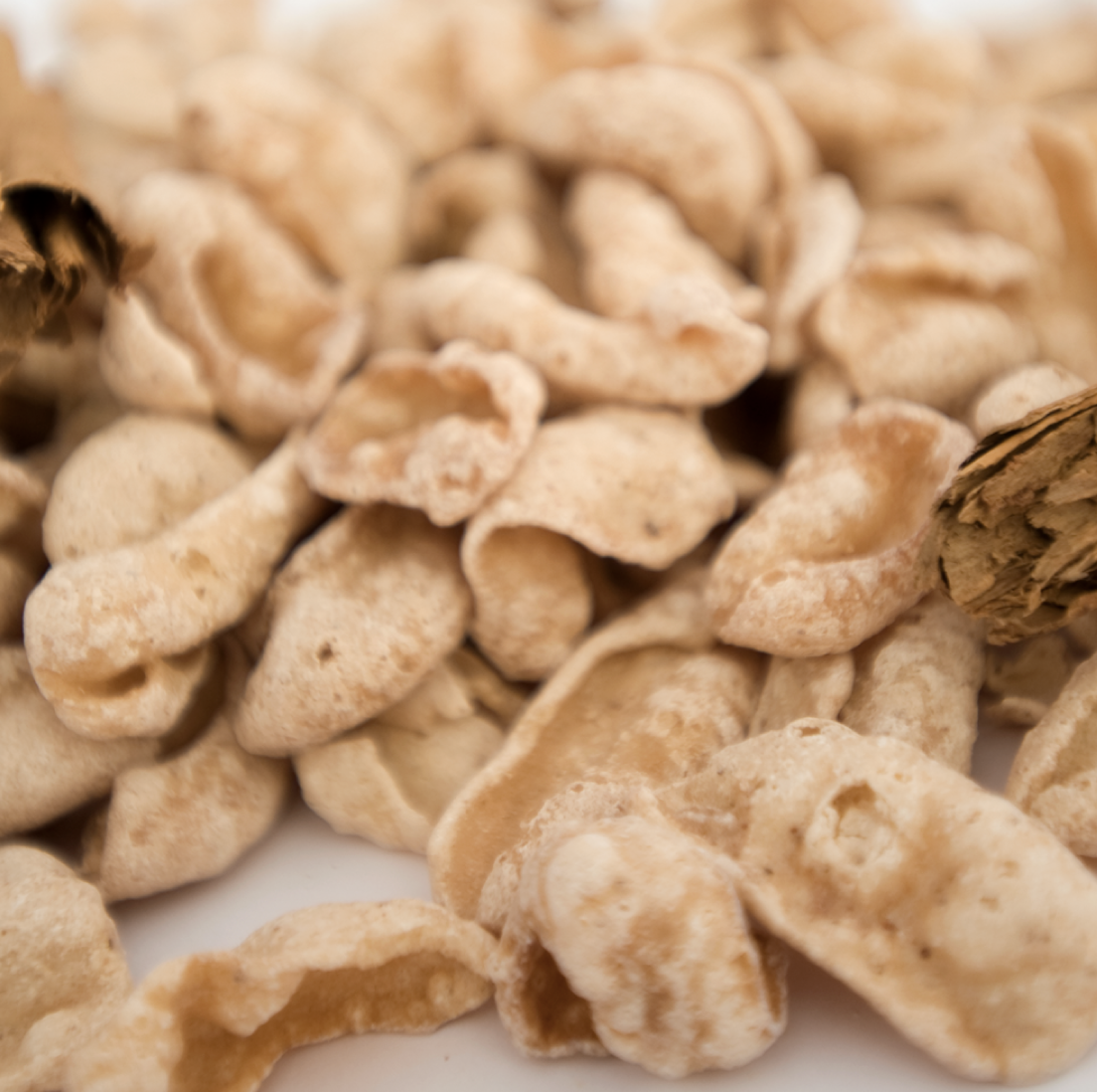 Quinitos de Canela